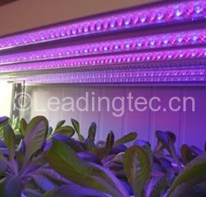植物藻類(lèi)工廠紅光藍(lán)光LED生長(zhǎng)燈