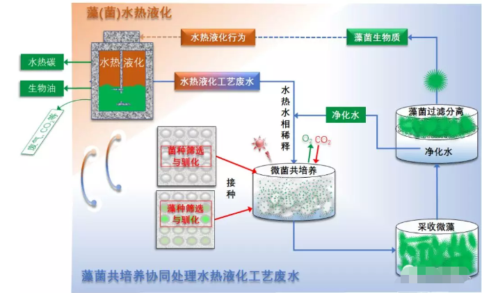 微藻水熱液化產(chǎn)能循環(huán)體系