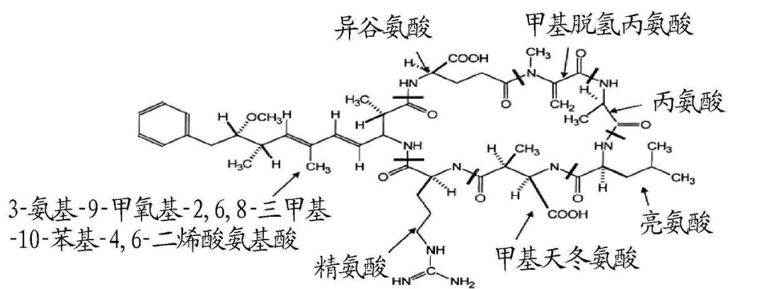 圖2?微囊藻毒素化學(xué)結(jié)構(gòu)圖