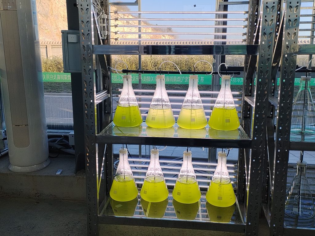 實(shí)驗(yàn)室專用！光語生物光照培養(yǎng)架GY-23PYJ-04