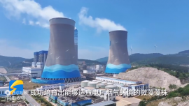 電廠如何用微藻固碳？