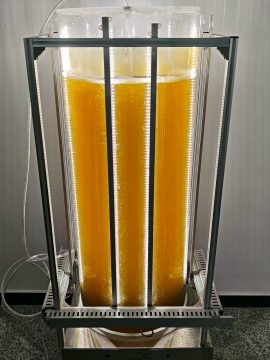 光語柱式反應(yīng)器?養(yǎng)三角褐指藻