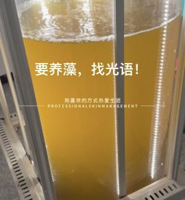 光語(yǔ)柱狀反應(yīng)器培養(yǎng)的三角褐指藻